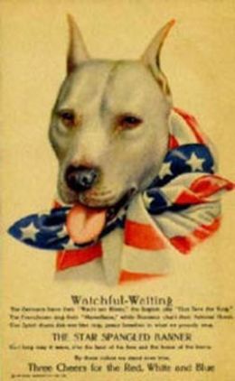 ww1_poster_featuring_a_pit_bull.jpg